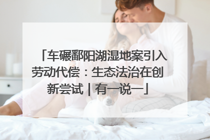 车碾鄱阳湖湿地案引入劳动代偿：生态法治在创新尝试｜有一说一