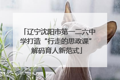 辽宁沈阳市第一二六中学打造“行走的思政课” 解码育人新范式