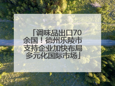 调味品出口70余国！德州乐陵市支持企业加快布局多元化国际市场