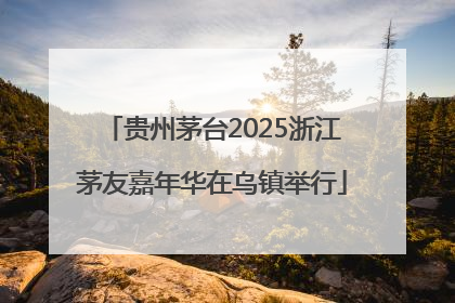 贵州茅台2025浙江茅友嘉年华在乌镇举行