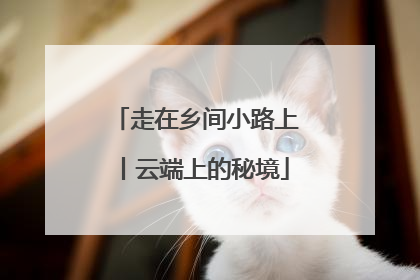 走在乡间小路上丨云端上的秘境