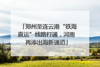 郑州至连云港“铁海直运”线路打通，河南再添出海新通道
