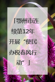 鄂州市连续第12年开展“便民办税春风行动”