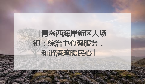 青岛西海岸新区大场镇：综治中心强服务，和谐港湾暖民心