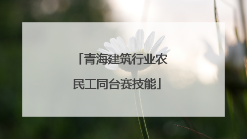 青海建筑行业农民工同台赛技能