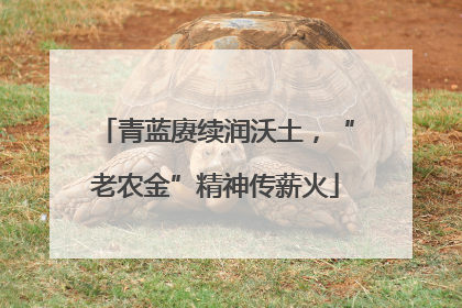 青蓝赓续润沃土，“老农金”精神传薪火