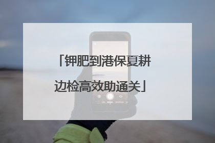 钾肥到港保夏耕 边检高效助通关