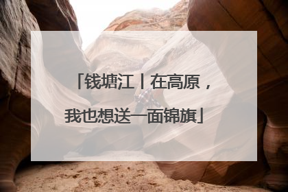 钱塘江丨在高原，我也想送一面锦旗