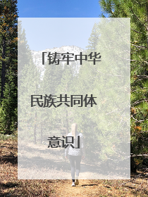 铸牢中华民族共同体意识