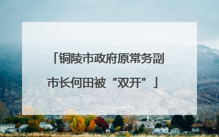 铜陵市政府原常务副市长何田被“双开”