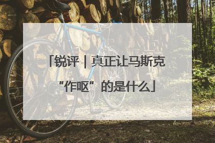 锐评｜真正让马斯克“作呕”的是什么