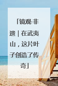 镜观·非遗｜在武夷山，这片叶子创造了传奇