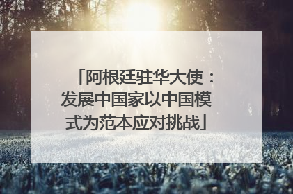 阿根廷驻华大使：发展中国家以中国模式为范本应对挑战