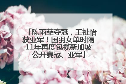 陈雨菲夺冠，王祉怡获亚军！国羽女单时隔11年再度包揽新加坡公开赛冠、亚军