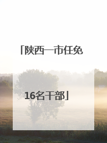 陕西一市任免16名干部