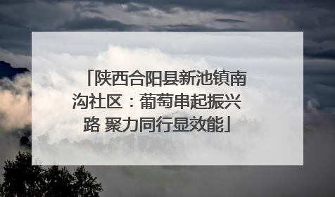 陕西合阳县新池镇南沟社区：葡萄串起振兴路 聚力同行显效能