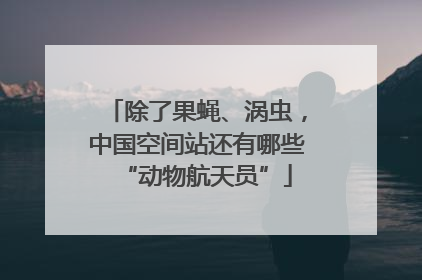 除了果蝇、涡虫，中国空间站还有哪些“动物航天员”