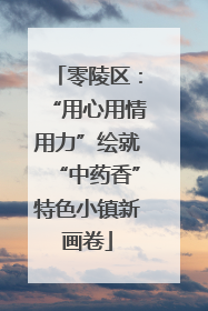 零陵区：“用心用情用力”绘就“中药香”特色小镇新画卷