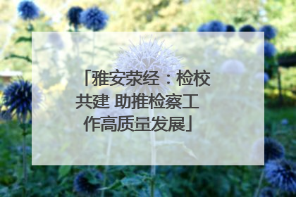 雅安荥经：检校共建 助推检察工作高质量发展