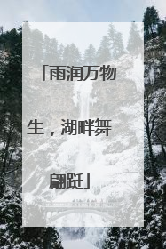 雨润万物生，湖畔舞翩跹