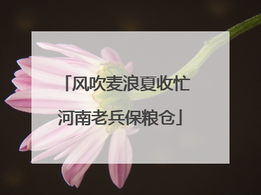 风吹麦浪夏收忙 河南老兵保粮仓