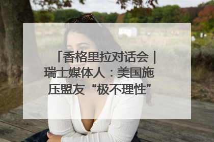 香格里拉对话会｜瑞士媒体人：美国施压盟友“极不理性” 欧洲国家无意与中国“脱钩断链”