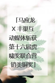 马应龙 X 丰巢互动媒体斩获第十六届虎啸奖联合营销类铜奖