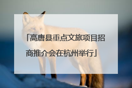 高唐县重点文旅项目招商推介会在杭州举行