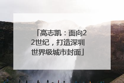 高志凯：面向22世纪，打造深圳世界级城市封面
