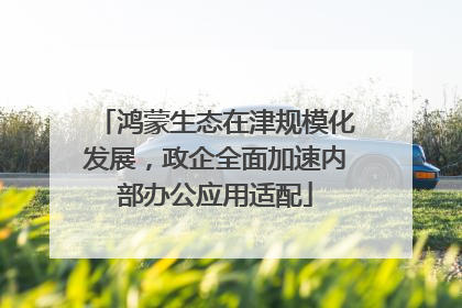 鸿蒙生态在津规模化发展，政企全面加速内部办公应用适配