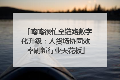 鸣鸣很忙全链路数字化升级：人货场协同效率刷新行业天花板