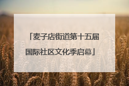 麦子店街道第十五届国际社区文化季启幕