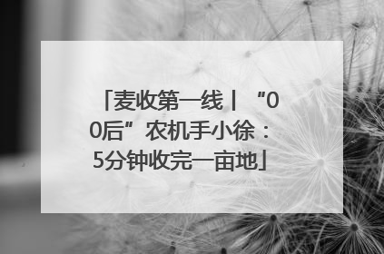 麦收第一线丨“00后”农机手小徐：5分钟收完一亩地