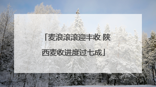 麦浪滚滚迎丰收 陕西麦收进度过七成