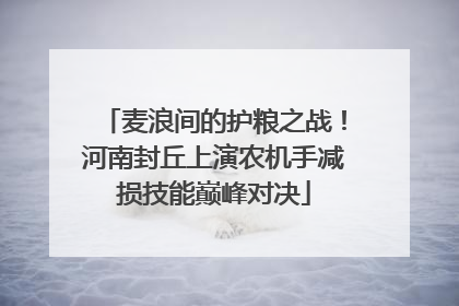 麦浪间的护粮之战！河南封丘上演农机手减损技能巅峰对决
