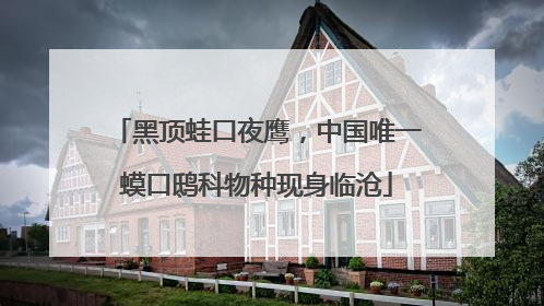 黑顶蛙口夜鹰，中国唯一蟆口鸱科物种现身临沧