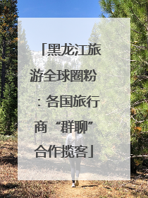黑龙江旅游全球圈粉：各国旅行商“群聊”合作揽客