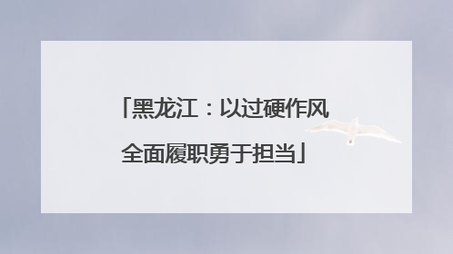 黑龙江：以过硬作风全面履职勇于担当