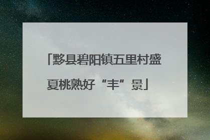 黟县碧阳镇五里村盛夏桃熟好“丰”景