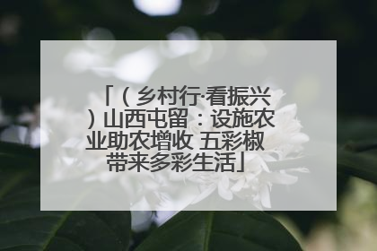 （乡村行·看振兴）山西屯留：设施农业助农增收 五彩椒带来多彩生活