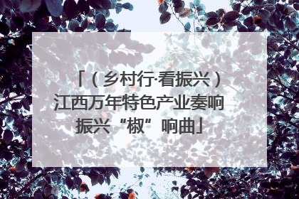 （乡村行·看振兴）江西万年特色产业奏响振兴“椒”响曲