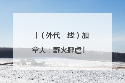 （外代一线）加拿大：野火肆虐
