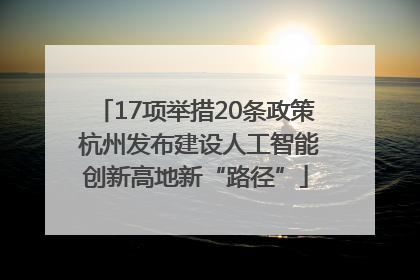 17项举措20条政策 杭州发布建设人工智能创新高地新“路径”