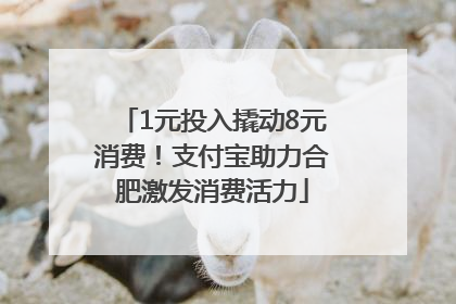 1元投入撬动8元消费！支付宝助力合肥激发消费活力