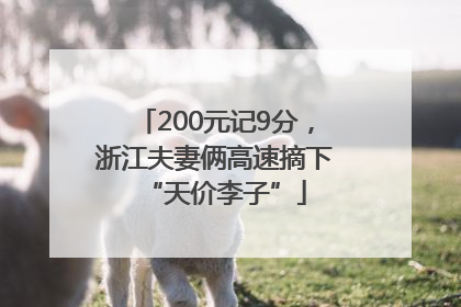 200元记9分，浙江夫妻俩高速摘下“天价李子”