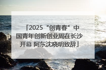2025“创青春”中国青年创新创业周在长沙开幕 阿东沈晓明致辞