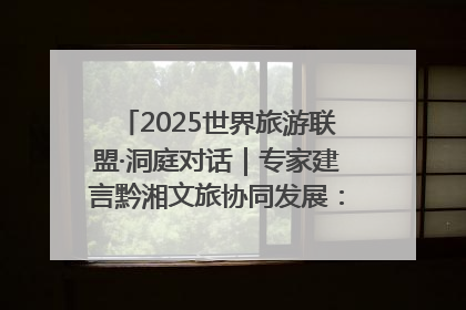 2025世界旅游联盟·洞庭对话｜专家建言黔湘文旅协同发展：聚焦产品稀缺性 深化区域经验共享