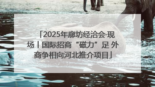 2025年廊坊经洽会·现场丨国际招商“磁力”足 外商争相向河北推介项目