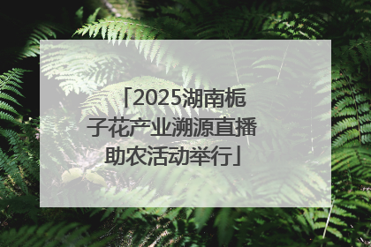 2025湖南栀子花产业溯源直播助农活动举行