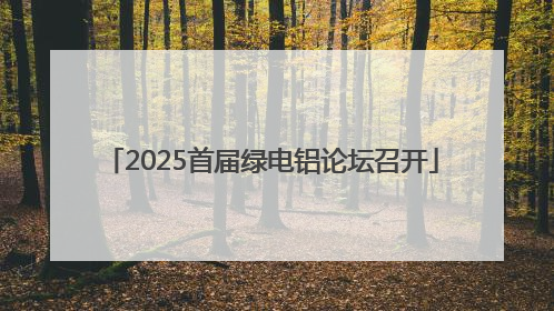 2025首届绿电铝论坛召开